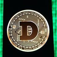 Dogecoin Fans tweet media