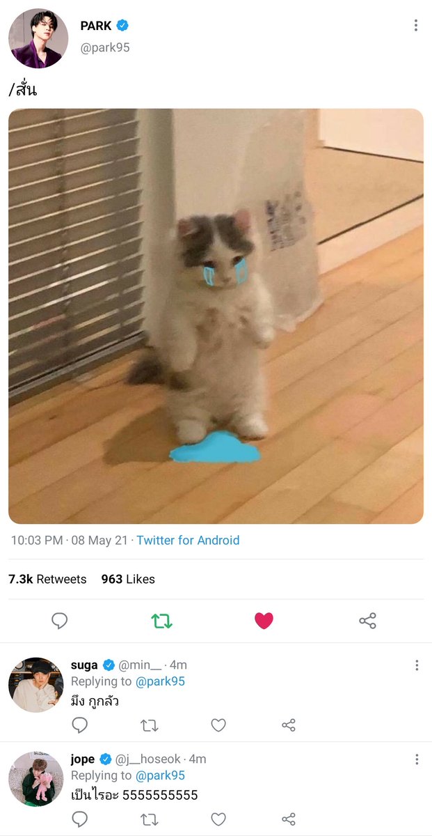 lil fluff ⁷ tweet media