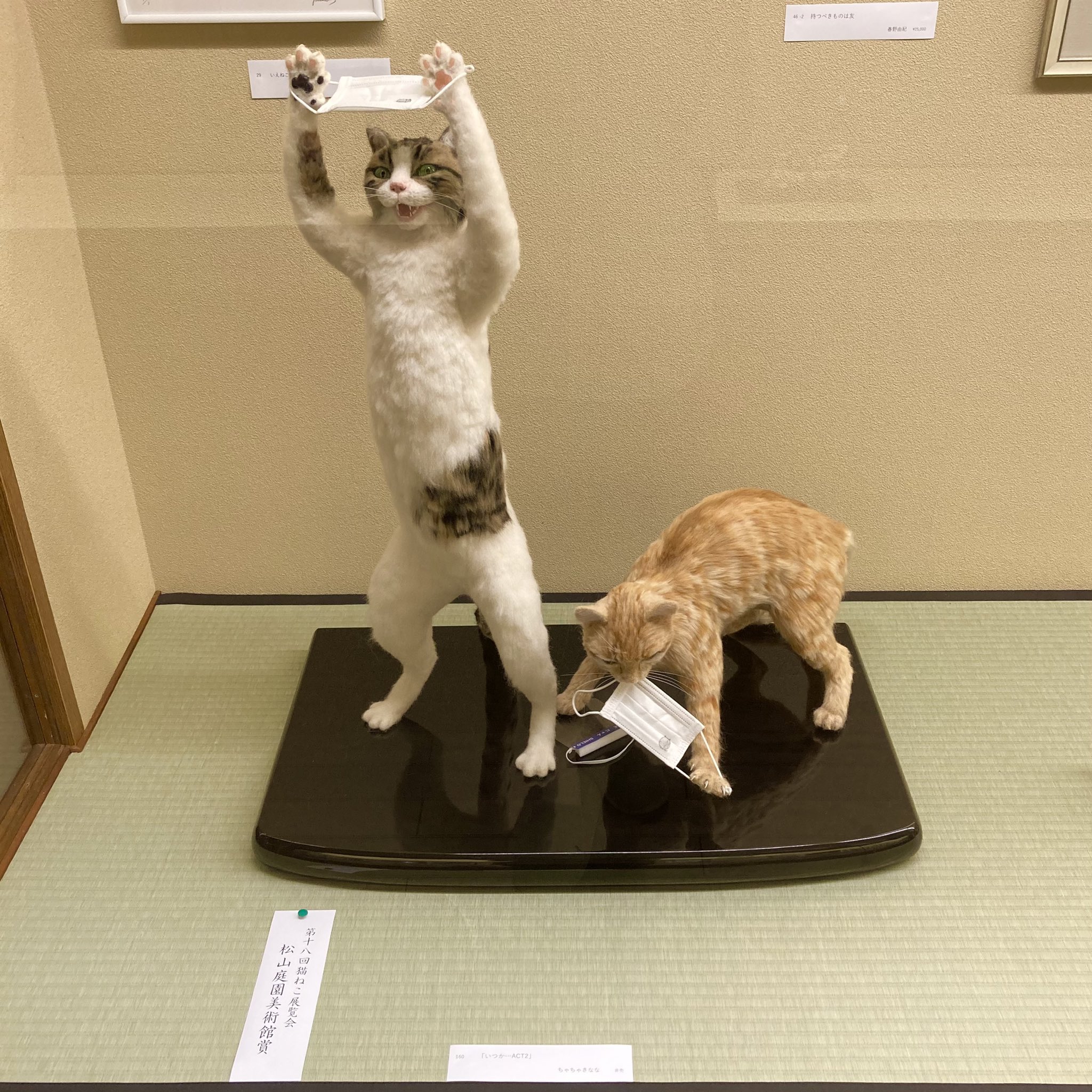 Twitter 上的 ちゃちゃき なな 松山庭園美術館 猫ねこ展覧会21 出品させて頂いていました いつか Act2 が グランプリ 松山庭園美術館賞を 頂きました 有難うございます 羊毛フェルト T Co Janzp7m3gq Twitter