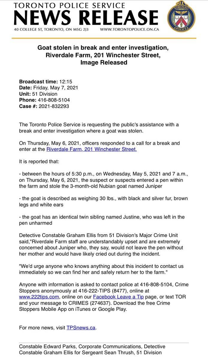LanrickBennett's tweet image. #HelpBringJuniperHome 

“🐐Can you help us find and return Juniper?

The 3-month-old goat was stolen from Riverdale Farm.

👉Read more: tps.to/49828” via @TorontoPolice