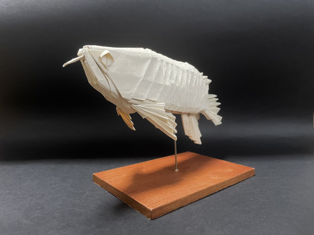 Tぼうし Cerberus2315 Twitter