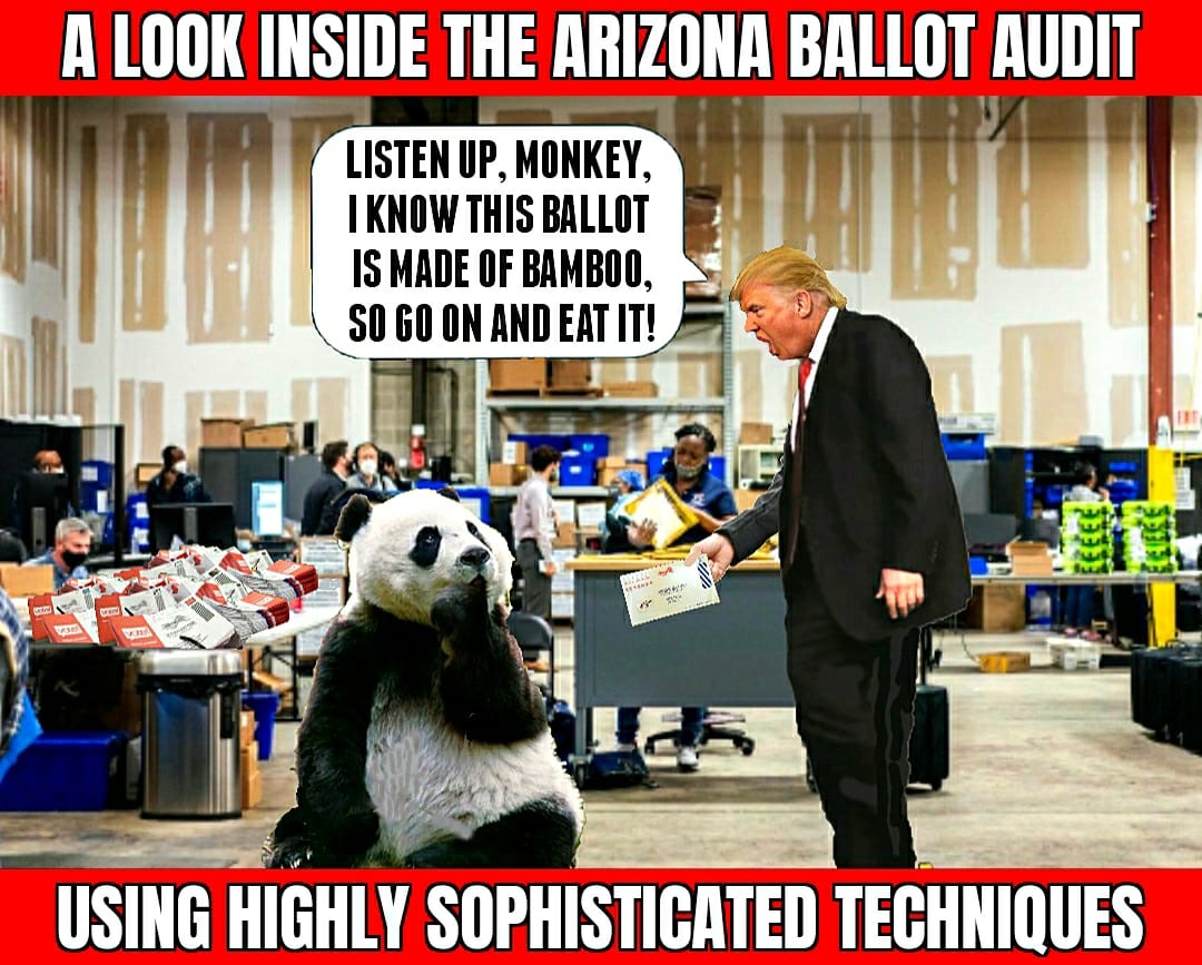 ZonkerDA's tweet photo. Please don't dismiss #Trump is simply a "sore loser", #DonaldTrump is the greatest threat to our nation's #Democracy since World War II. He should be viewed and treated as such.
#ArizonaAudit #ArizonaRecount #BambooGate https://t.co/bSp6nJzWst