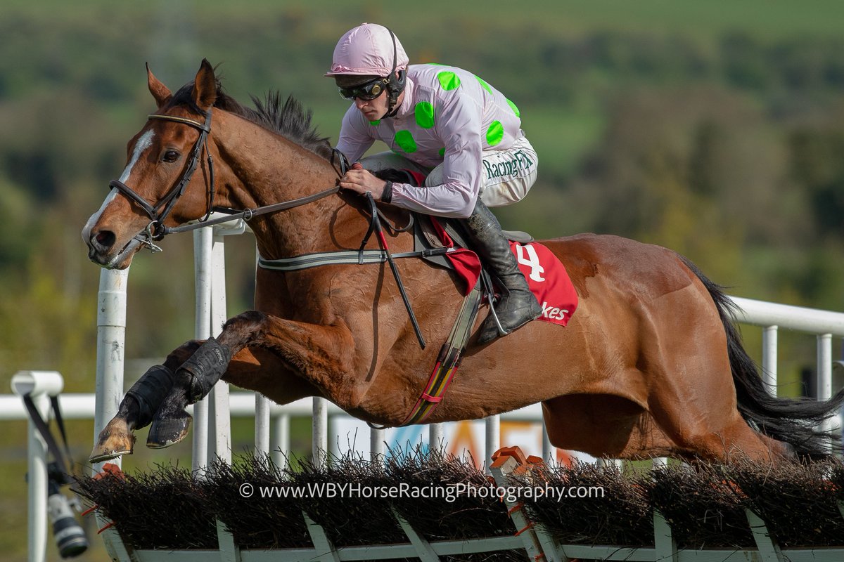 Ohdannyboy77's tweet photo. Happy retirement to 3 incredible horses.... Douvan, Faugheen and Benie Des Dieux...... here's some of my favourite photos I've taken of them.
#Faugheen #Douvan #BenieDesDieux
@AtTheRaces https://t.co/V2GKEQSYQN
