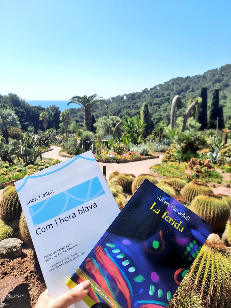 MoniRabassa's tweet photo. 📚 'Com l'hora blava' de Joan Callau i 'La ferida' de Albert Canadell al Jardí Topical Pinya de Rosa. Poques dreceres de la pandèmia són plenes de sol. Aquesta n'és una.   

👉🏼 Presentació de les obres guanyadores dels Premis Recvll 2020. @RedaccioRecvll #Blanes https://t.co/mEAaRfoER4