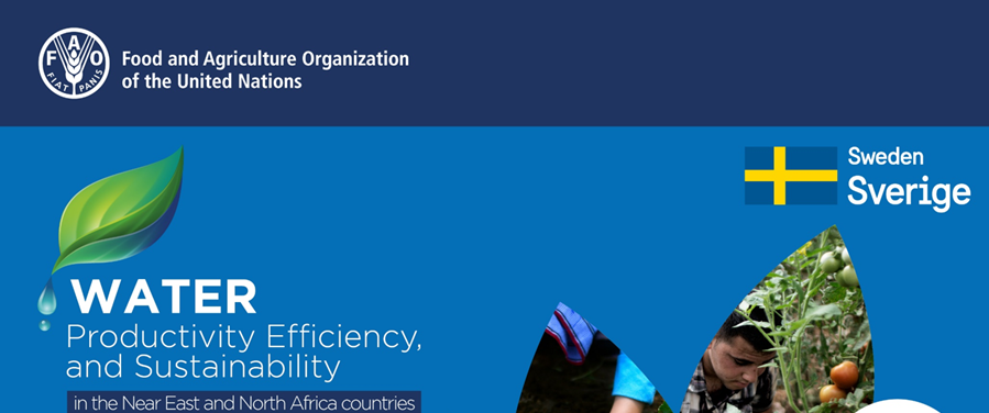 FAOLandWater's tweet photo. Join the @FAO webinar "Crop maps for #waterproductivity assessments using #WaPOR" with Michela Marinelli and Livia Peiser from @FAOLandWater 

📅 11 May 2021
⏲️ 12.30 CEST

Register here 👉 https://t.co/lBTnKa1ZY2

@FAOinNENA_EN https://t.co/6791LSTfHK