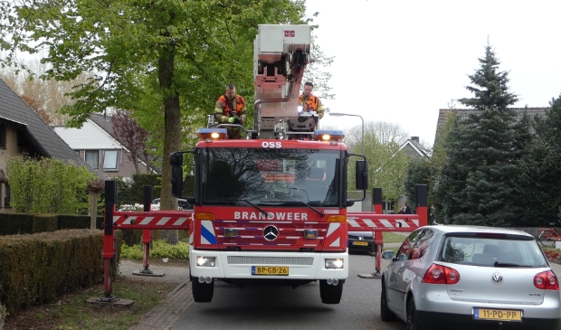 Brandweer haalt poes van het dak van woning aan Woldreef - ..