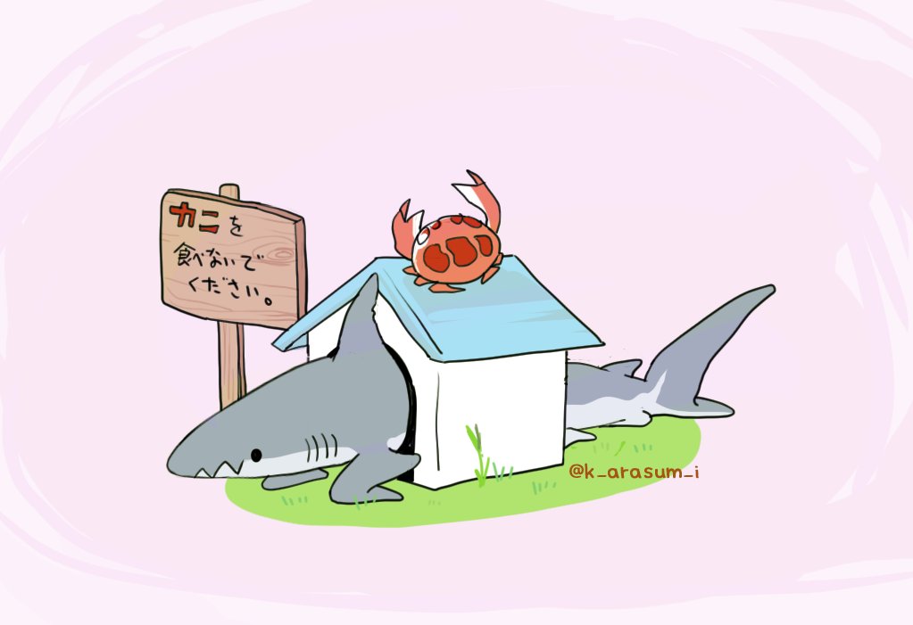 サメがいっぱいいる家 