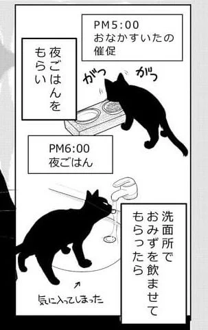 来月号には「60手前でねこを飼う」再登場です。お楽しみに〜
#JOUR 