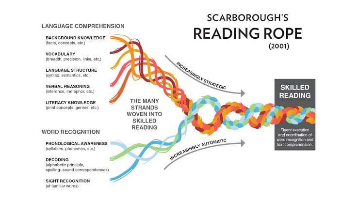 Different children are typically missing different steps/components. Without breaking the process down to small digestible units so that the teacher & student can recognize the missing steps, the students may be competent readers at an earlier age but not become skilled readers.