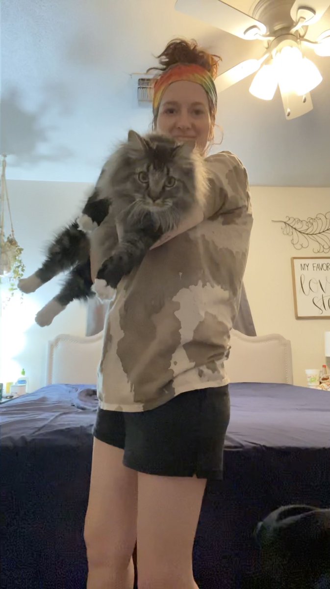 TheSamWatson16's tweet photo. Update on Maximus tweet just so y’all can really see how big he is. Not fat, just big and fluffy. https://t.co/FhmLlhLPwD