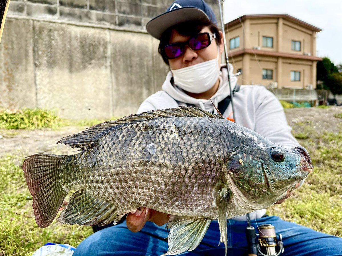 怪魚ハンター山根ブラザーズ『公式』 (@yamane_brothers) / Posts / X