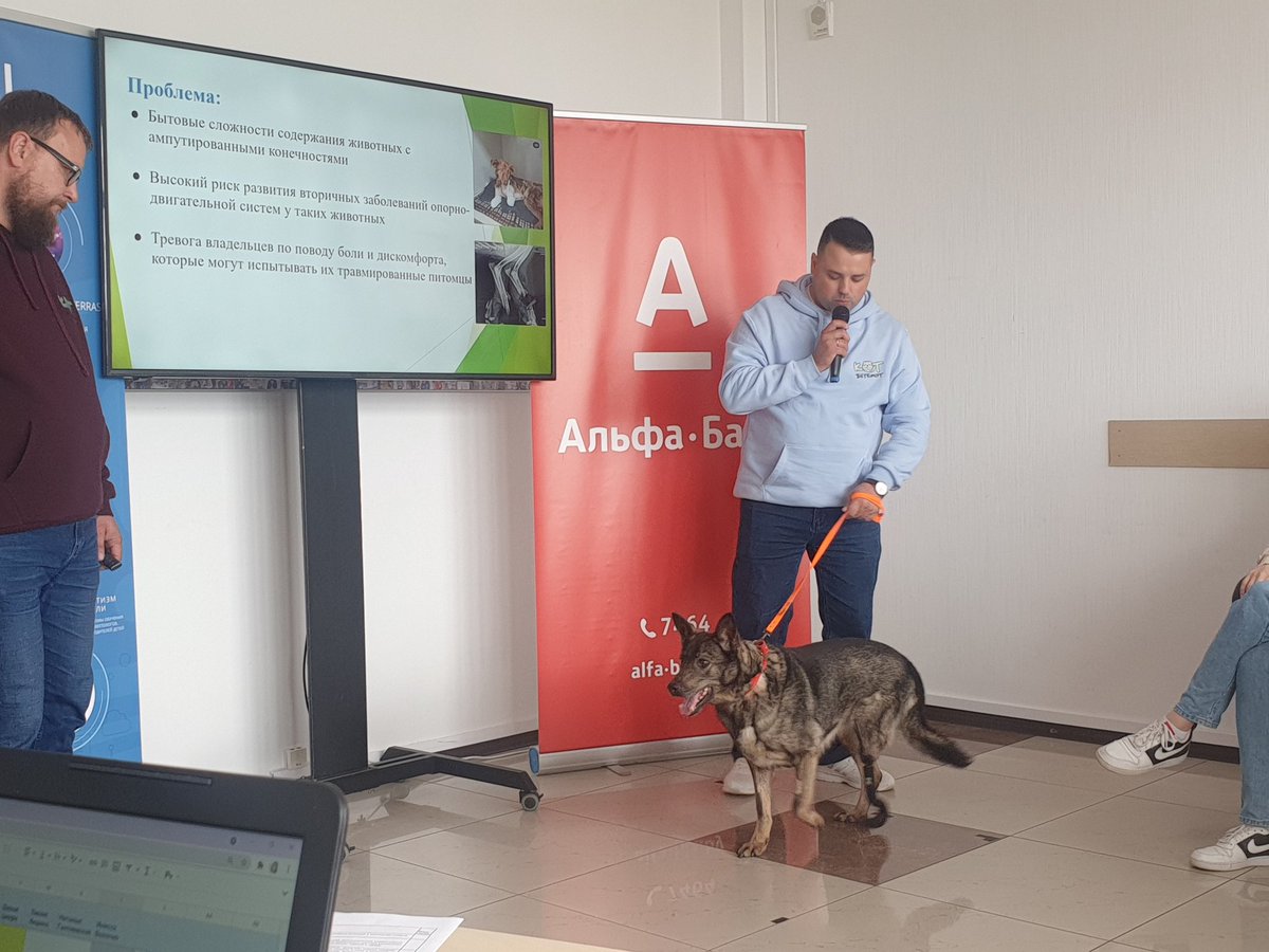 Even the dog develops his project. What about you?
#bussineswoman #businesslife #truebusiness #truestory #personaldevelopment #startup  #socialproject #schu_sfy