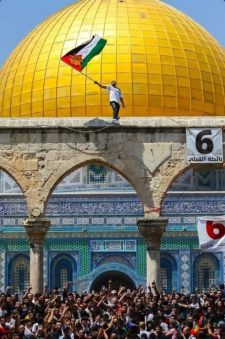 Rmodeen's tweet photo. Best picture you’ll see today.
#SaveSheikhJarrah 
#FreePalestine https://t.co/XwmfUMVtMx