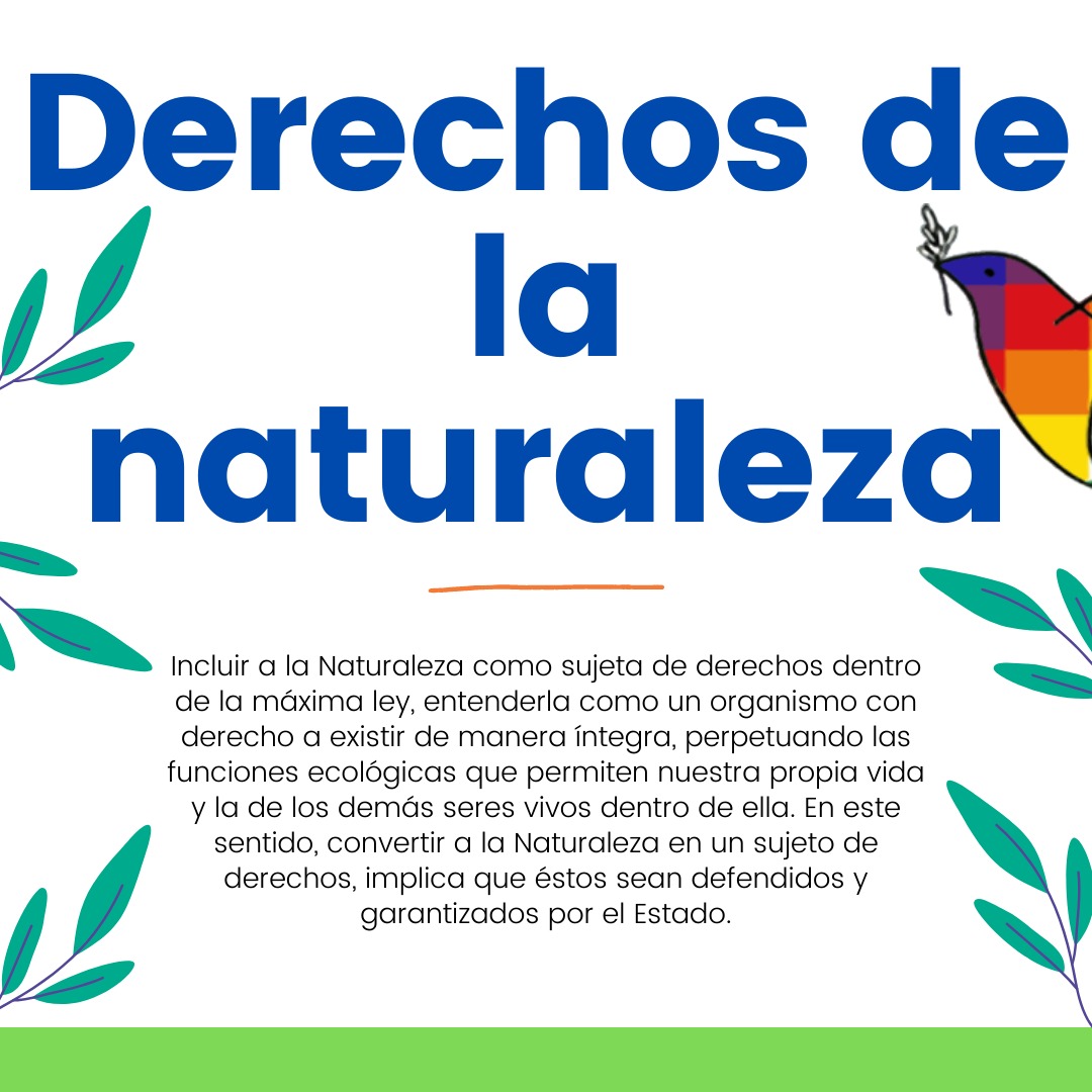 rev_mov's tweet photo. La Naturaleza es un ente vivo, singular, finito y vulnerable del cual depende la
existencia de todos los seres humanos y la de los demás seres vivos (no humanos) que la conforman. Por lo tanto... https://t.co/QZTdMlEAid
