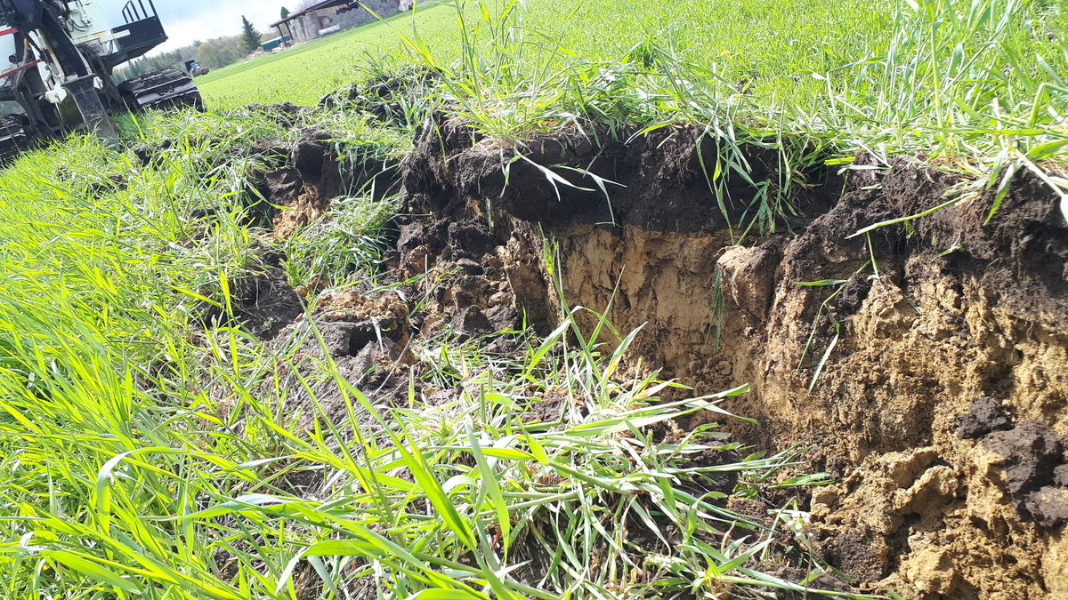 Reuben Stone tweet media