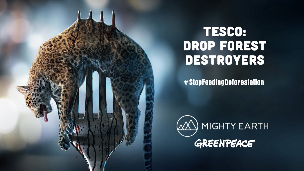 GreenpeaceUK's tweet photo. Companies in @Tesco’s supply chain are driving deforestation in the home of the jaguar.
The Amazon, the Pantanal, the Cerrado &amp; more precious ecosystems are being consumed by industrial meat.
Tell Tesco to drop forest destroyers. https://t.co/NTZZ8tGnKu
#StopFeedingDeforestation https://t.co/mfw6yNgcSh