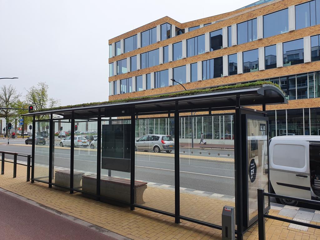 Op initiatief van #GroenLinks #Hengelo zijn de eerste drie bushokjes voorzien van een groen #sedumdak. Goed tegen de hitte, voor het vasthouden van water en #biodiversiteit.