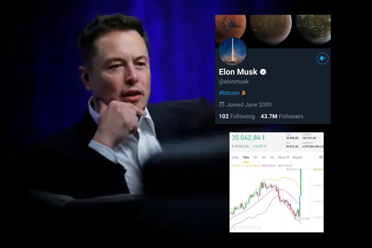 LinaMethyd's tweet photo. #crypto #cryptocurrency #cryptomemes https://t.co/Zeu9rRObrM