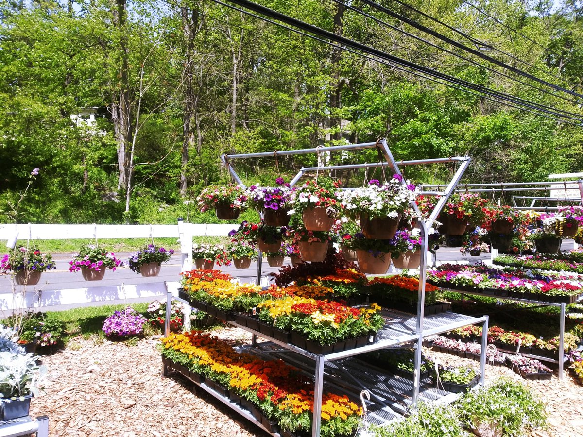 RoxburyPTO's tweet photo. IT'S MOM'S WEEKEND! 

GET HER FLOWERS FROM EDEN FARMS AND SUPPORT ROXBURY!

Eden Farms 
947 Stillwater Road
Stamford, CT 06902

MENTION YOU ARE SUPPORTING ROXBURY AND 20% OF YOUR PURCHASE GOES TO OUR SCHOOL! https://t.co/l48eDcwcxN