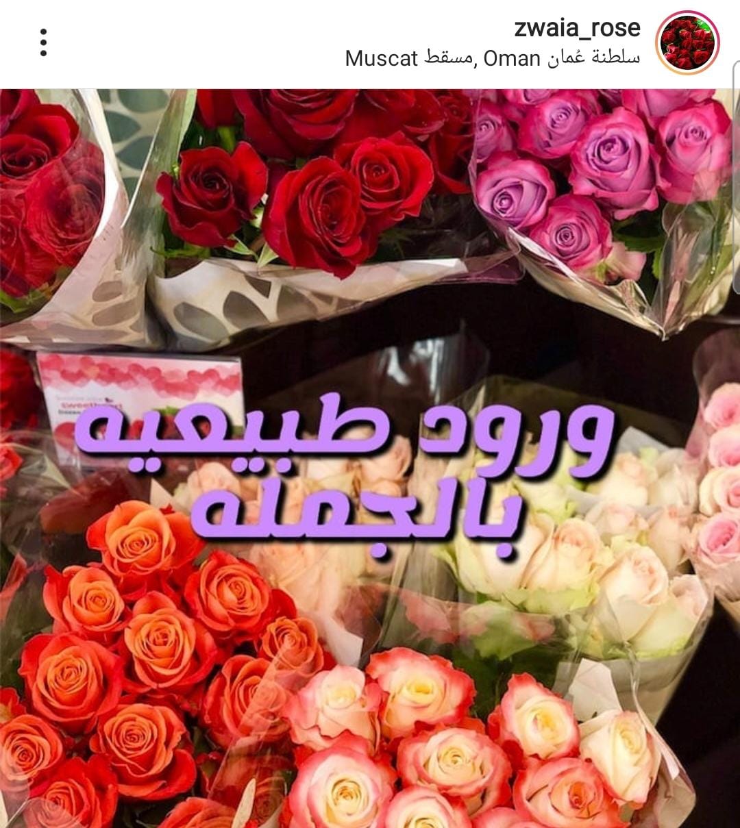 زوايا لورود الروز بالجمله r0se wholesale twitter