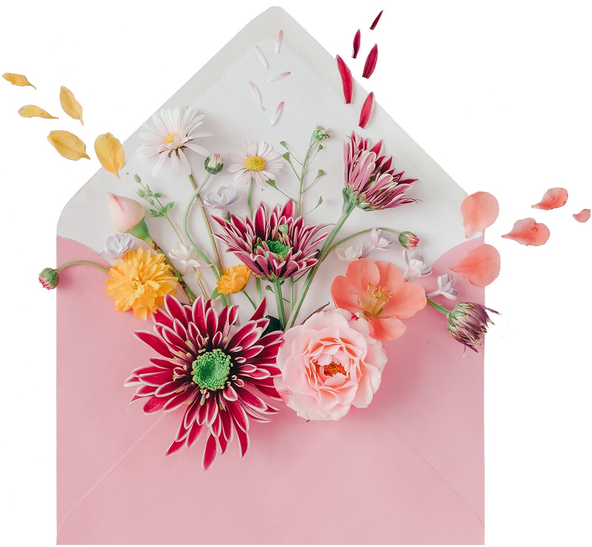 ARPKD's tweet photo. Happy Mother's Day, A Video Project, and More! https://t.co/n02tvotz1a https://t.co/gGQ9mkrNpR