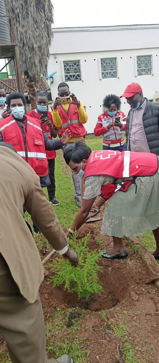 KenyaRedCross's tweet photo. Our #Unstoppable volunteers and staff across the country commemorating #RedCrossDay in the best way we know how to- #Service.  
Protecting and showing love to mother earth through #treeplanting. This is #WestPokot branch.

#WorldRedCrossDay https://t.co/TQeeYOHi1G