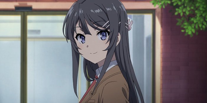 Mai Sakurajima est une jeune femme responsable et mature, qui a toujours voulu affronter ses problèmes seule pour ne causer de soucis à personne. Une enfant star ayant beaucoup souffert mais restant souriante, elle est reconnaissante et attentionnée.
