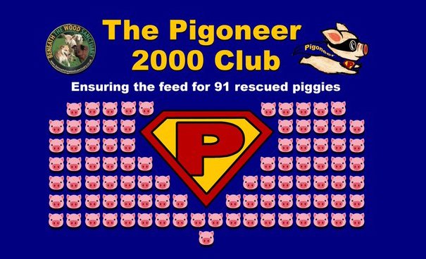 Become a Pigoneer! Help Feed 91 Rescued Pigs for just ๏ฟฝ2.50 per month. Help Vegans helping Animals for less than the cost of a cup of coffee per month. Im a #Pigoneer Are You? https://t.co/3c8XcuaOrL #vegan #veganshelpingvegans #veganism https://t.co/YDPVwtIMc6
