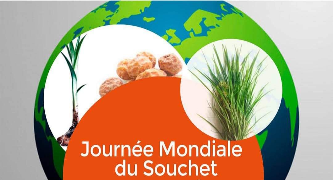 JakuNuts's tweet photo. [Le saviez-vous ?]
L'histoire raconte que quand un H/F d'un certain rang décèdait en Égypte, on mettait systématiquement du #souchet dans sa #tombe.
A cette époque, il était très exploité dans la pharmacopée africaine pour ses vertus #digestives et surtout #aphrodisiaques. https://t.co/VugyqNBvOa