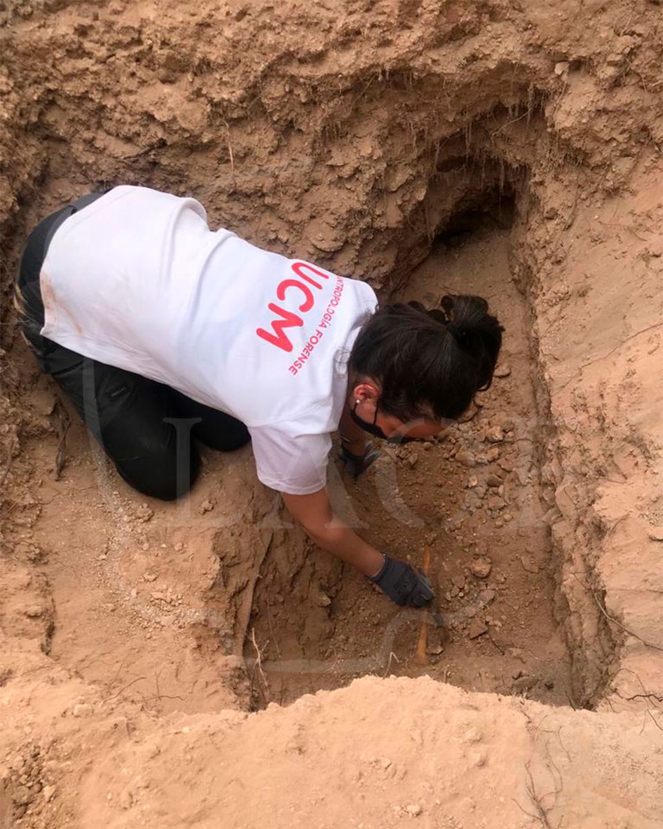 LAOF_EML's tweet photo. ¡Primeros hallazgos en la #fosa de #Almagro! Estamos muy contentos porque han aparecido las primeras evidencias. El trabajo en equipo siempre funciona mejor @laof.eml @uni.complutense @cranfielduni @mapasdememoria
#LAOF https://t.co/kN26Ovc1sC