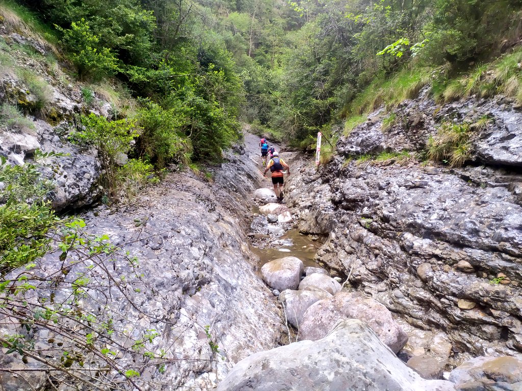 ultrescatalunya's tweet photo. #UTBCN 📍Coll de Jou (km27)
Espectacular els passos per la Mola de Lord, el poble abandonat de Sòbol i el clot de Vilamala
#cursesfeec @FEEC_cat https://t.co/6n71QTgTZT
