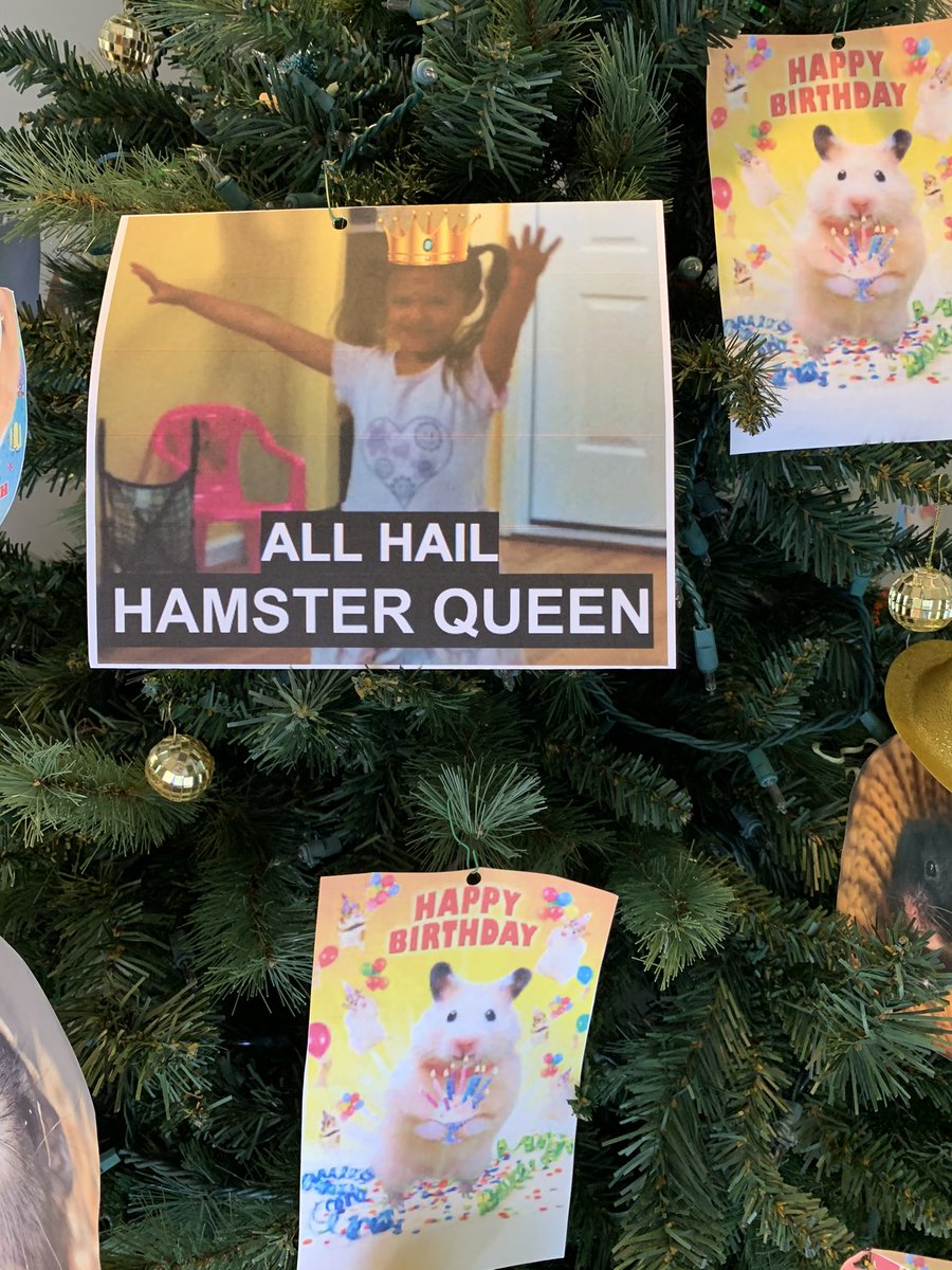 The tree now is in its 2nd round of birthday celebrations. And, a hamster has joined the household. I am vaccinated, why is pandemic life still going the wrong direction?