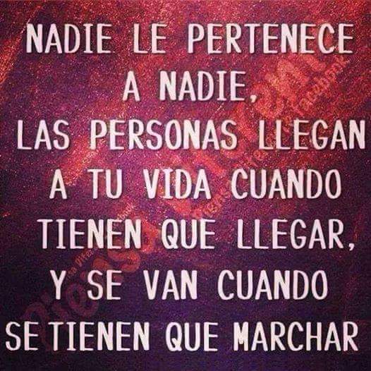 Lux_becerril's tweet photo. Así es.agradezco su tiempo https://t.co/6dWyxRsssJ