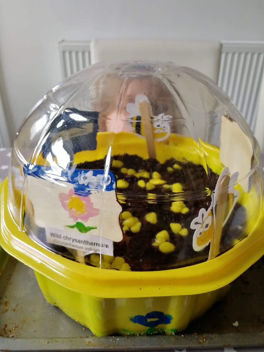 Indi enjoyed making a bee garden today 🐝 @TeamLadybirds1 @TeamCherryDale