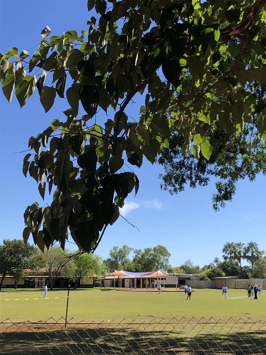 Newy Traveller tweet media