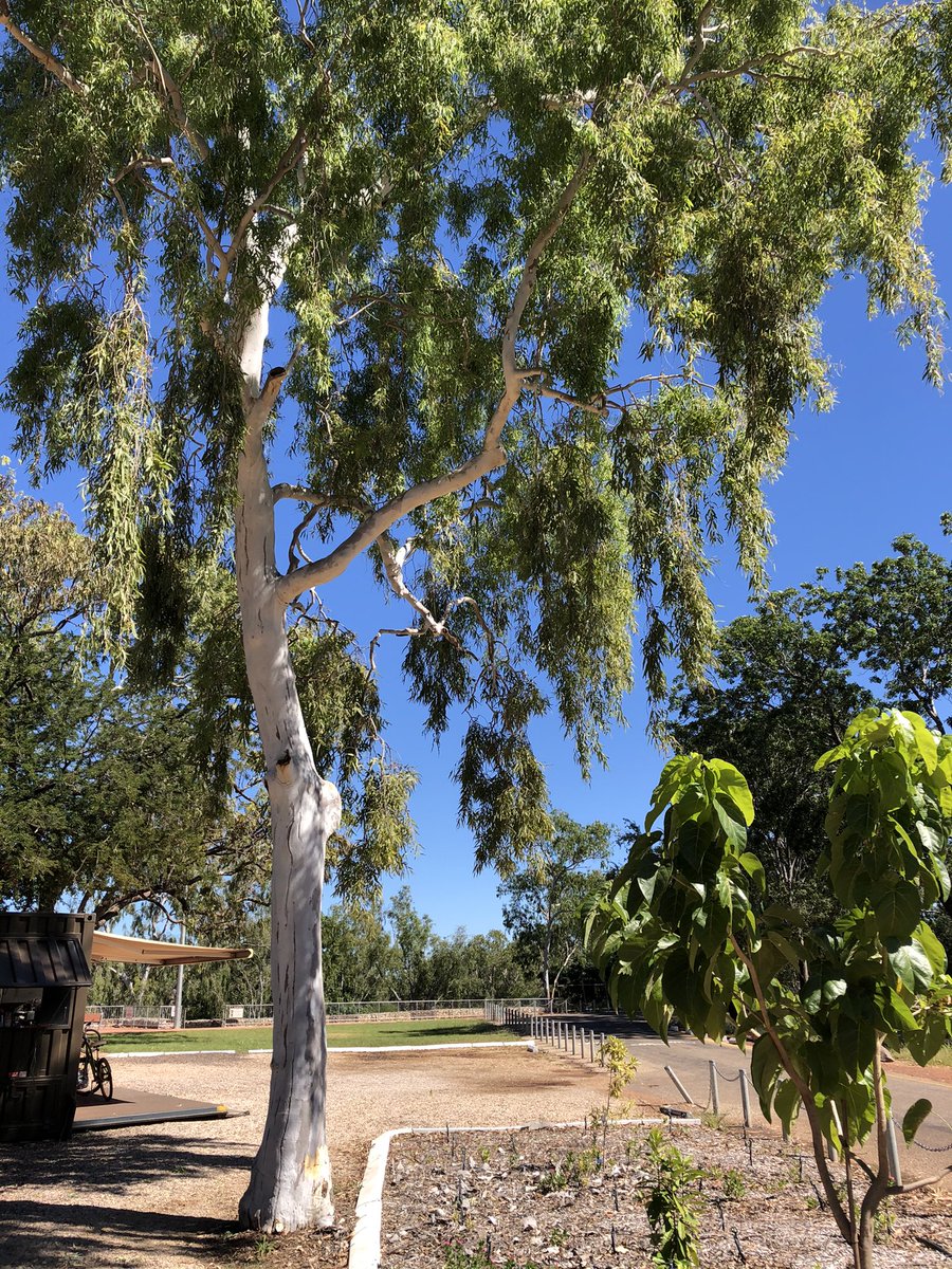 Newy Traveller tweet media