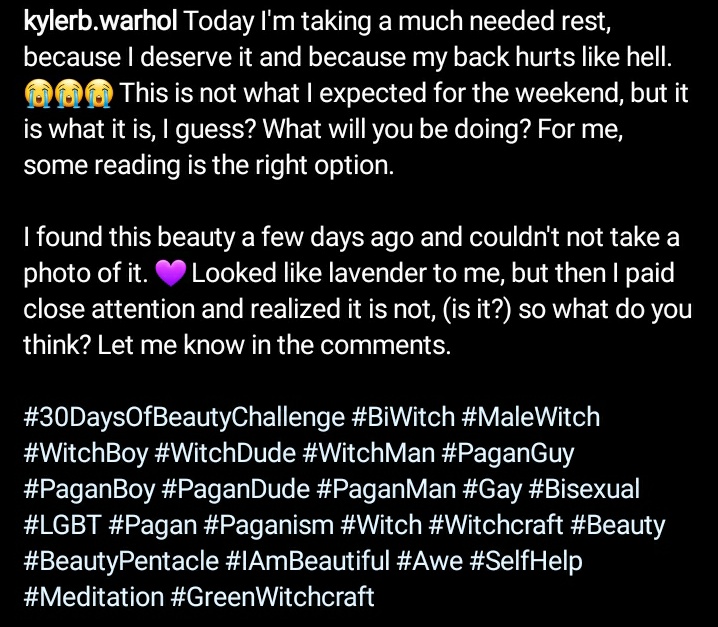 KBWarhol's tweet photo. #30DaysOfBeautyChallenge #BiWitch #MaleWitch #WitchBoy #WitchDude #WitchMan #PaganGuy #PaganBoy #PaganDude #PaganMan #Gay #Bisexual #LGBT #Pagan #Paganism #Witch #Witchcraft #Beauty #BeautyPentacle #IAmBeautiful #Awe #SelfHelp #Meditation #GreenWitchcraft https://t.co/7FRnlofprw