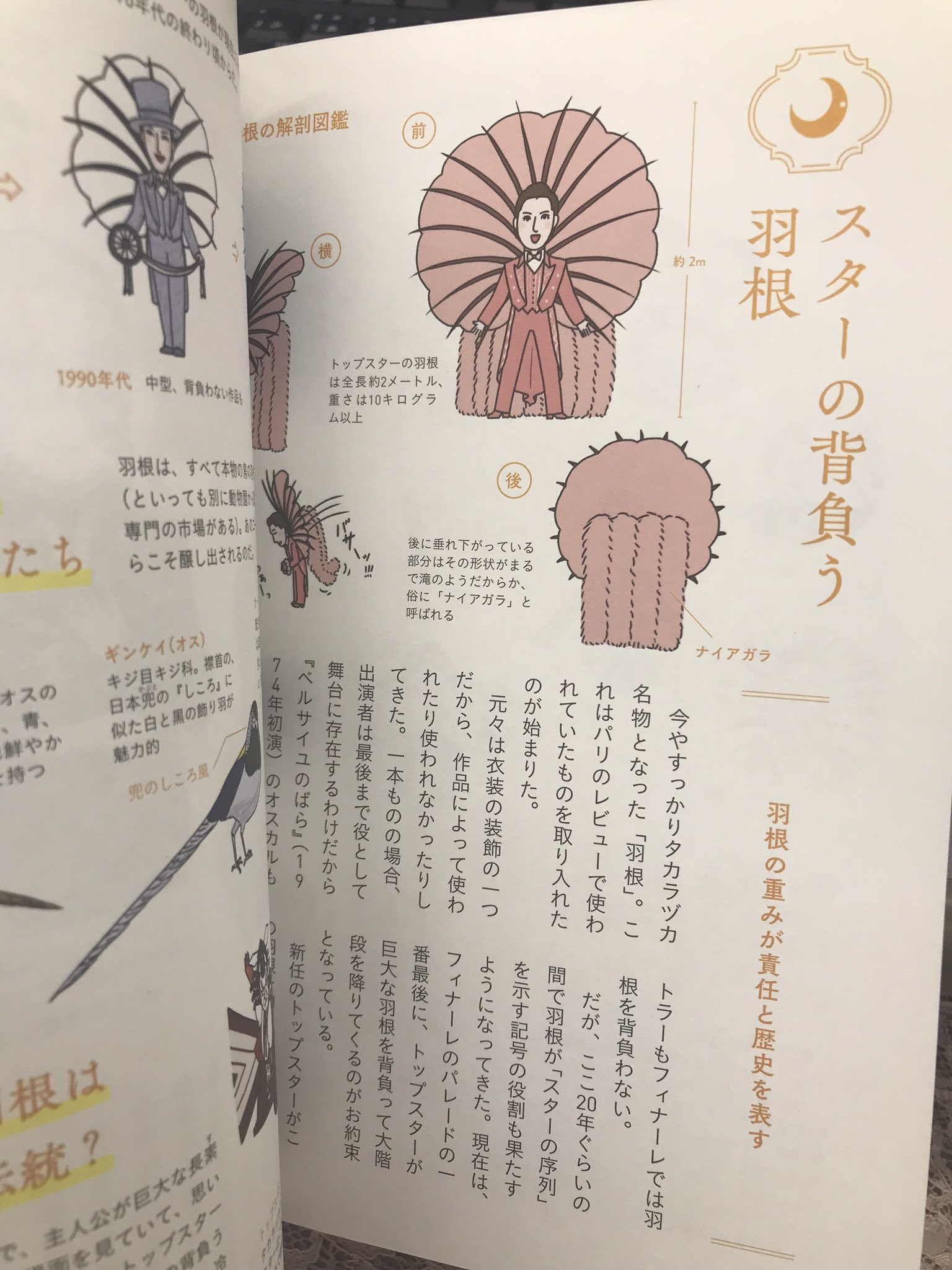 れな シティーハンターやシャーロック ホームズで宝塚に興味をもった 人生で一度くらいは宝塚を観たい 興味があるけど勇気がない そんな皆様 はじめての宝塚にピッタリな入門書 タカラヅカの解剖図鑑 を読むのです 男役と娘役の決め方 チケットの値段