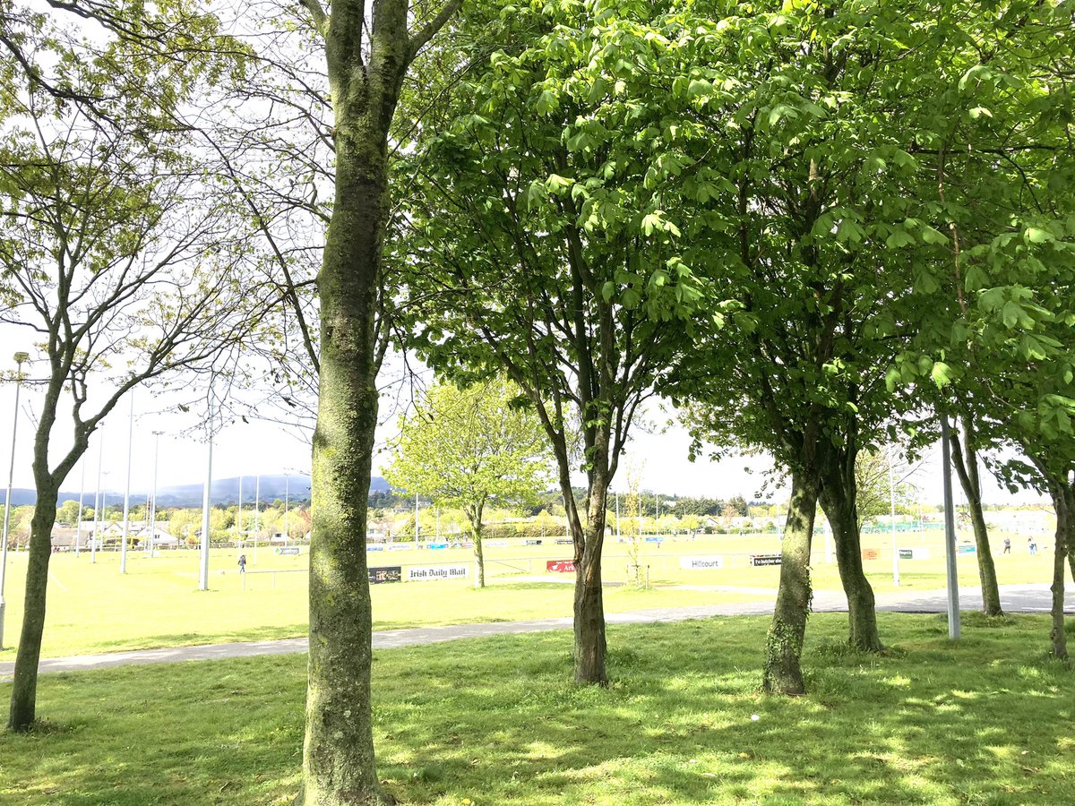 DunneOlwyn's tweet photo. Topping off this morning’s #NotParkRun with chats, coffee and #sunshine ☀️
Kilbogget park was buzzing with the return to sport ⚽️🏉🚸
🌳 thanks @dlrcc for all the path improvements
Always a warm welcome @seapointrfc and great coffee too 🧁 https://t.co/QZnFUGz4zL