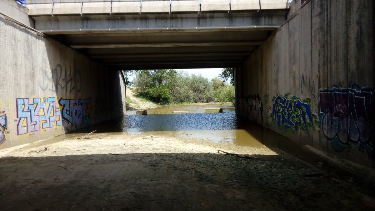 CorredorEcoSur's tweet image. 📣 Increíblemente, la balsa bajo el puente de la M40 que corta la Cañada Real de Madrid, pervive después de más de un mes sin lluvia ante de la dejadez de la Comunidad de Madrid