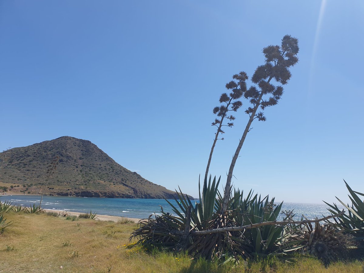 droyo's tweet photo. Ya que Cabo de Gata es TT, subiremos una foto de esta misma mañana. El cabo nunca falla! https://t.co/sN4tpcb4Bk