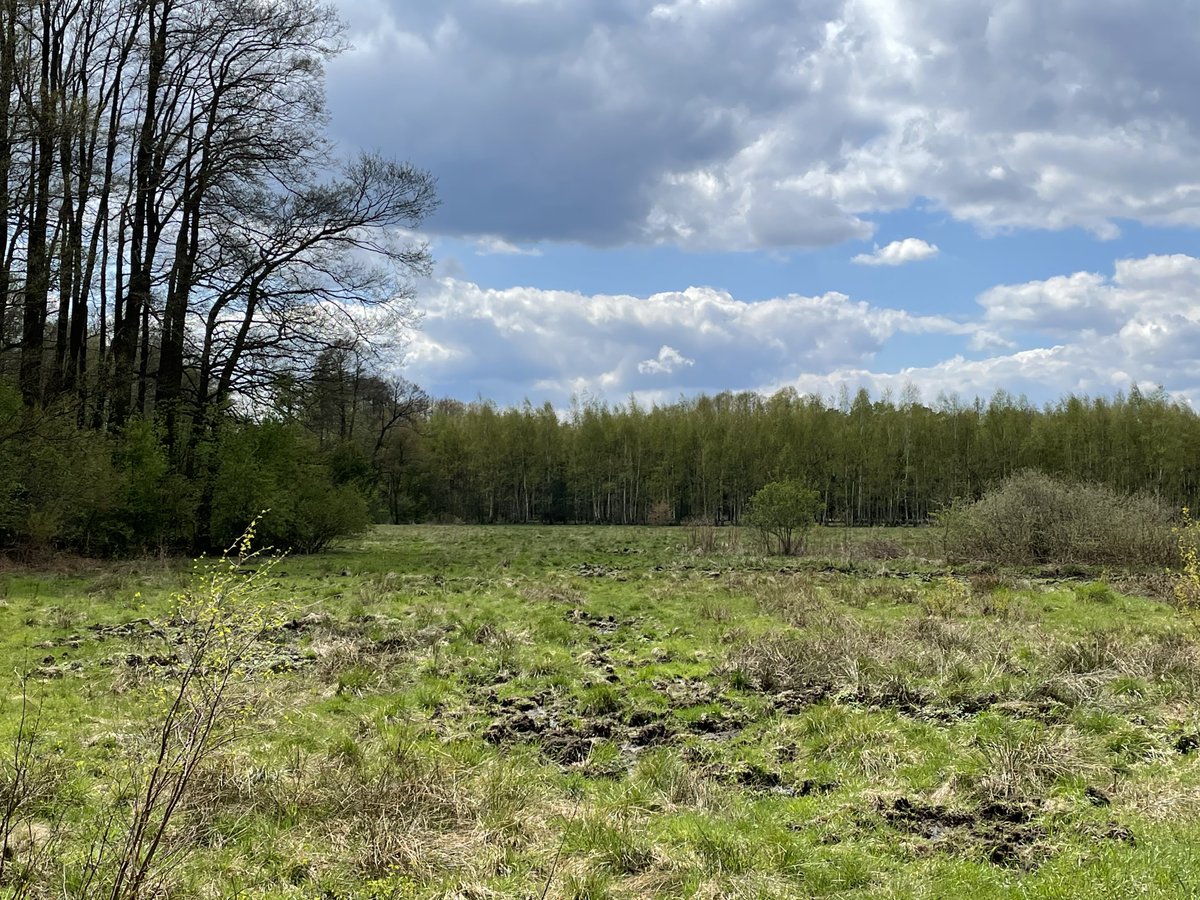 Maciej Banach tweet media