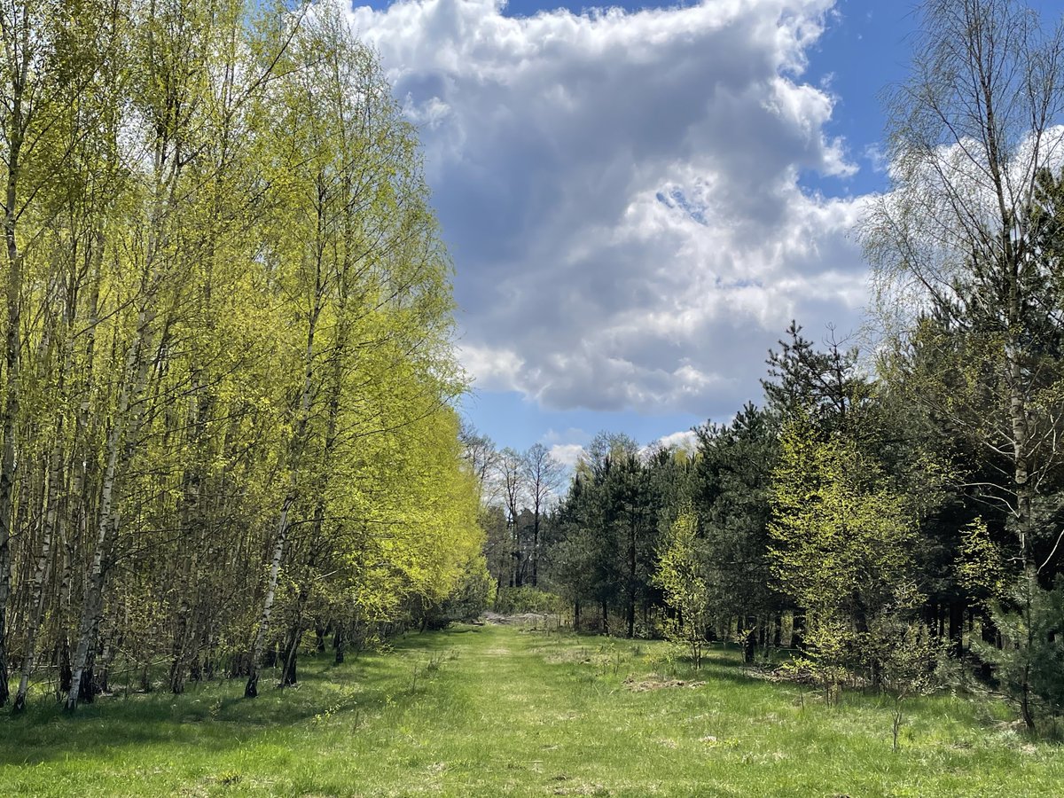 Maciej Banach tweet media