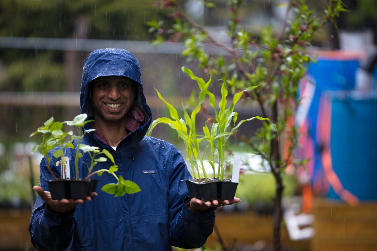 East Boston:
Vaccine, Seedlings, Coops, and Art, oh my!
9-3 Drop in Vaccine <a href="/GOTVax_org/">GOTVax</a> @EBNHC Iglesia la Luz del Mundo (130 London St) 16yo+
10-2 Seedling Sale &amp; worker-owner coop market <a href="/EastieFarm/">Eastie Farm</a>  (294 Sumner St)
1-4 <a href="/EastieMOF/">Mothers Out Front - East Boston</a> Art Build: Pollution and Solutions (Central Sq.)