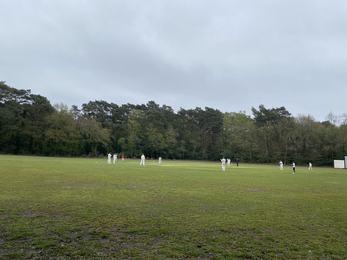 Corfe Mullen Cricket tweet media
