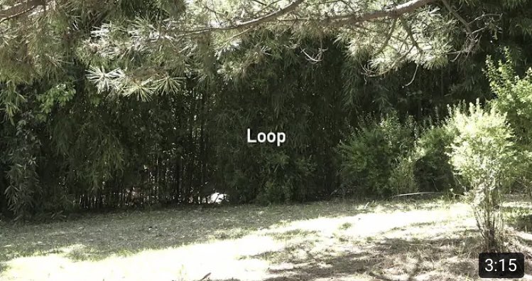 公式 Reiki Films株式会社 川口徹治 主演最新作 Loop T Co Naawsw4cqr