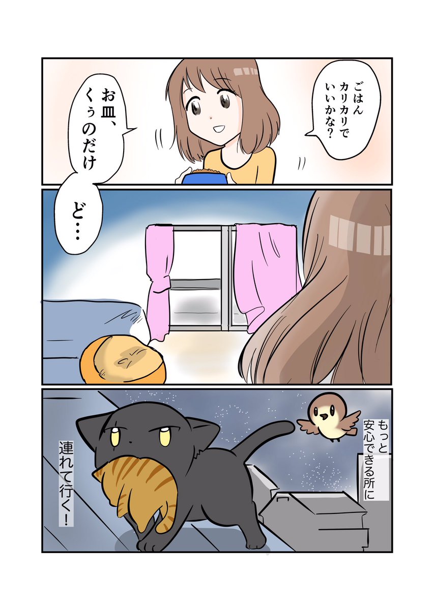 #くぅの日常 第75話 
シオの決断

スーパーダーリンにゃんこのくぅと飼い主しずくの日常マンガ。

くぅのノラ猫友達シオ兄貴。
過去しずくが世話をした黒猫のシロ。
抱いていた疑問が確信へと変わり…。

#創作マンガ #マンガが読めるハッシュタグ 