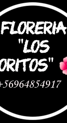 Andreusha19841's tweet photo. Florería los noritos #alerta @rodrigosepu  los mejores ramso y arreglos de pte alto Oriente...  Saludos https://t.co/yePoeFiw8Y