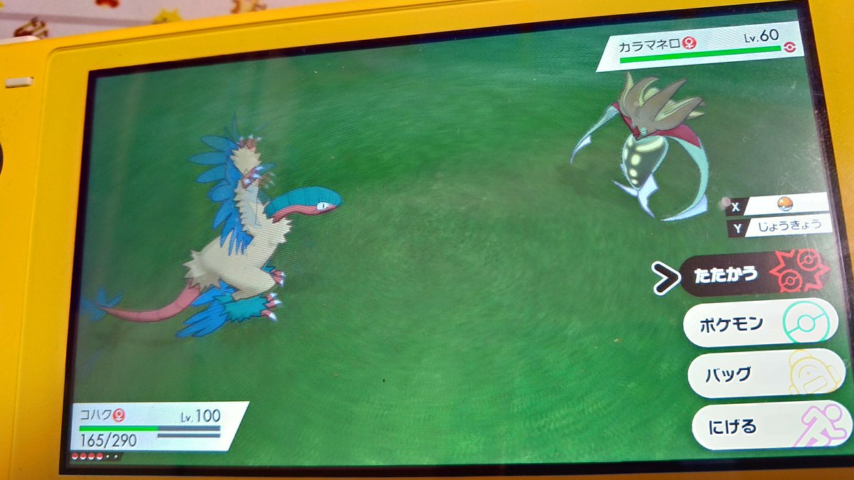 カラマネロ レイド 対策