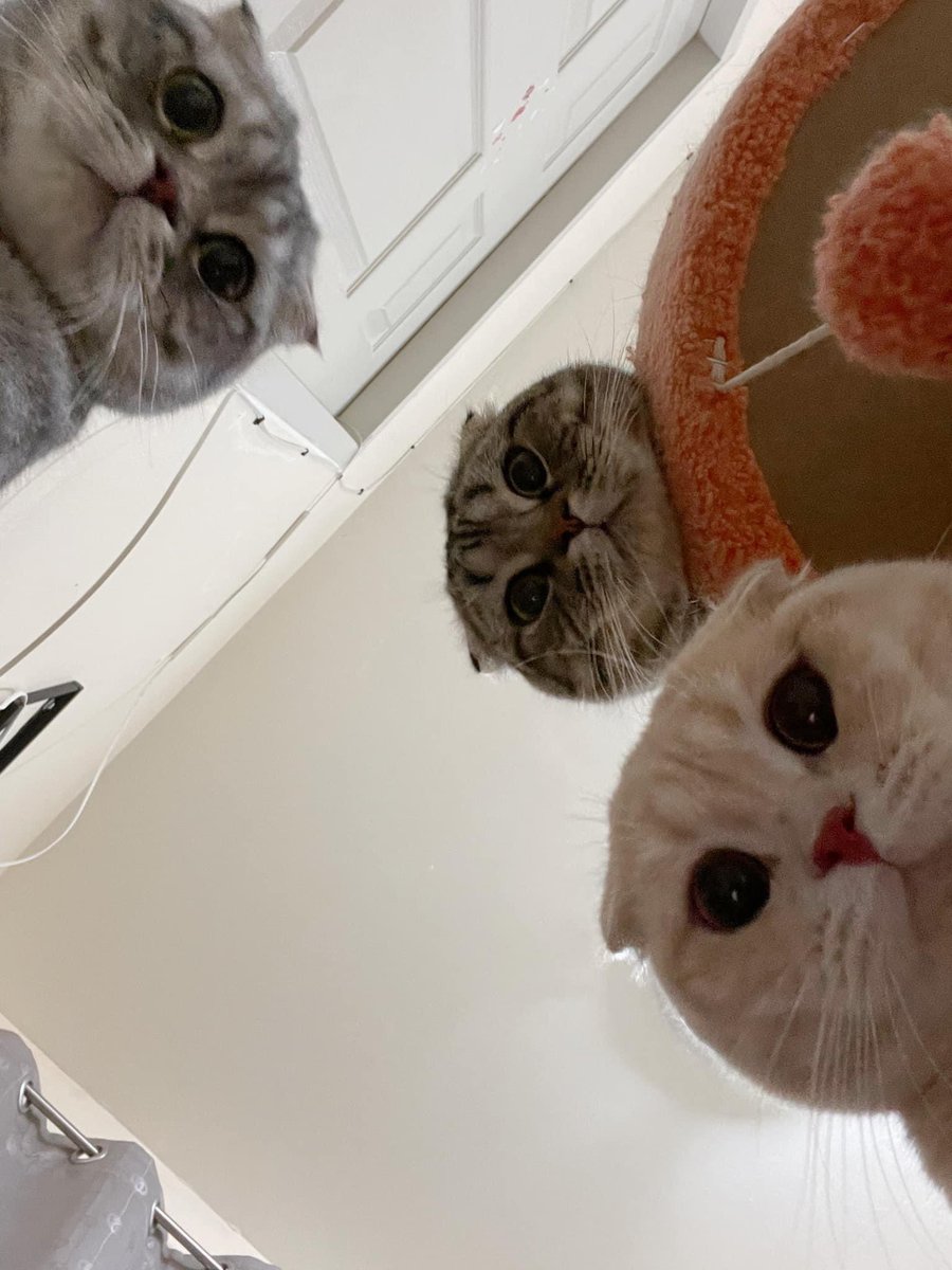 พี่เจ๋งน้องเตี๋ยวไม่ตีกันสิลูกกก tweet media